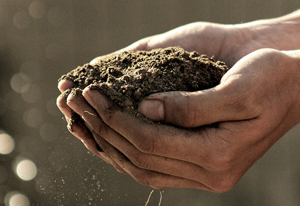 Two dirty hands cupping a large amount of brown soil.