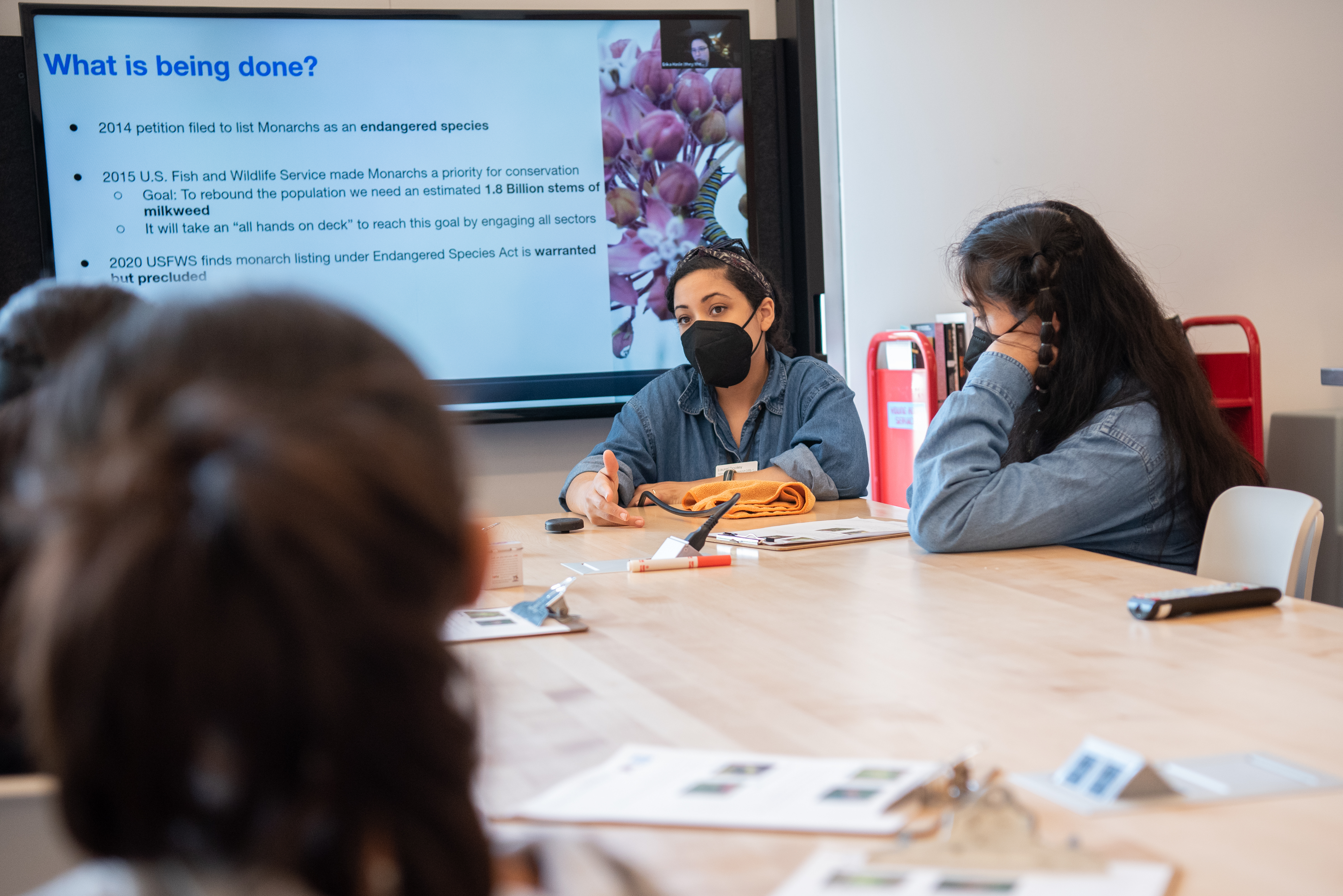 teens looking at a powerpoint about monarchs 